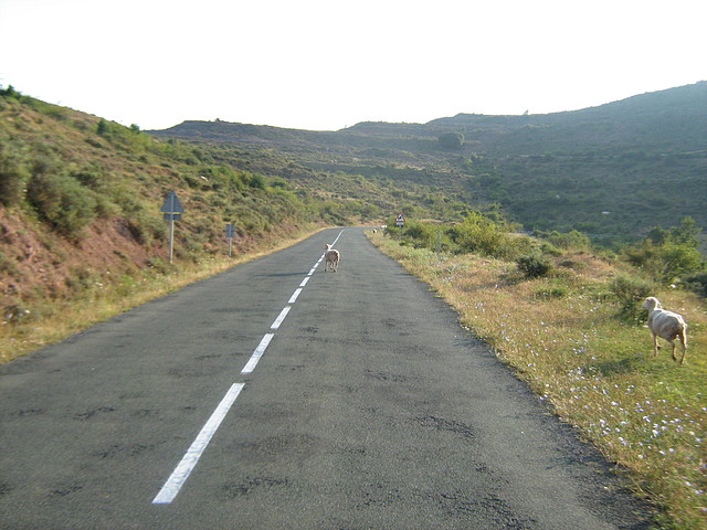 Soria-La Rioja 1.8.10 078