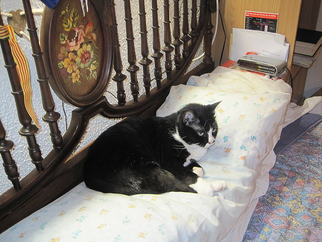 Osca,se va despertando Osca,se va despertando