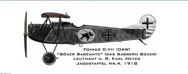 FOKKER D.VII CMeyer