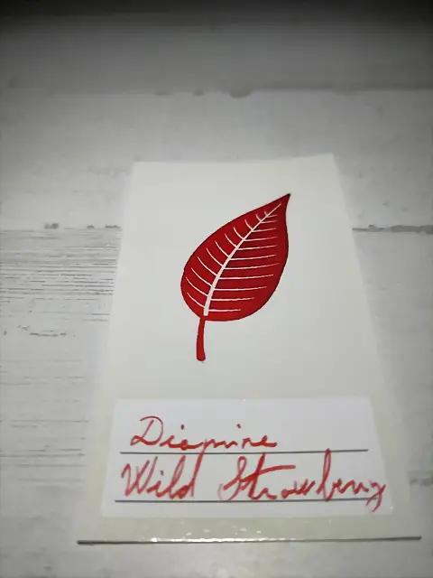 diamine-wild_strawberry diamine-wild_strawberry