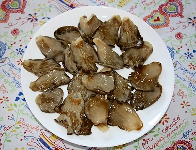Setas de cardo Setas de cardo