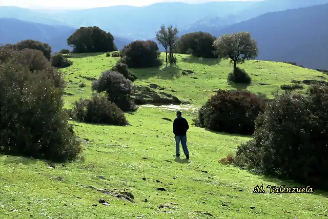 14, juan de dios andando, marca