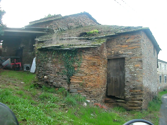 DSCN5317 DSCN5317