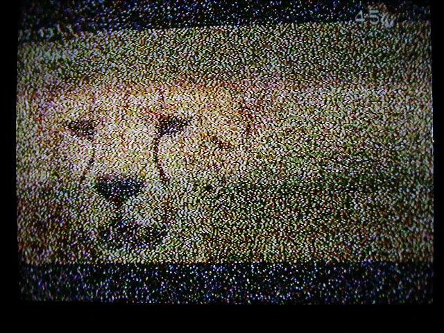 ireEwu7I2YRF8 ireEwu7I2YRF8