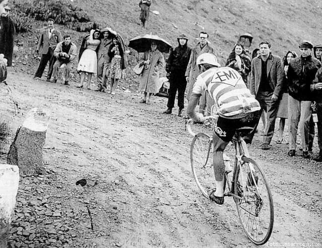 CHARLI GAUL,1960,GAVIA