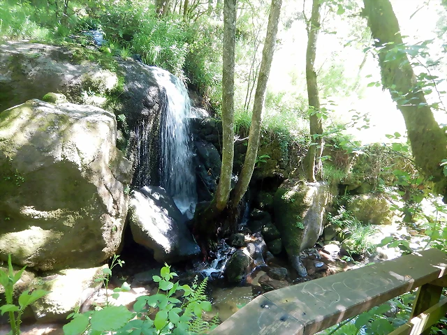 DSCN2262 DSCN2262