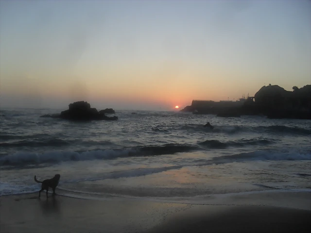 SDC17414 SDC17414