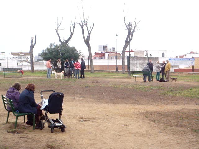 foro-Parque para perros en Huelva-15.02.14-J.Ch.Q 17
