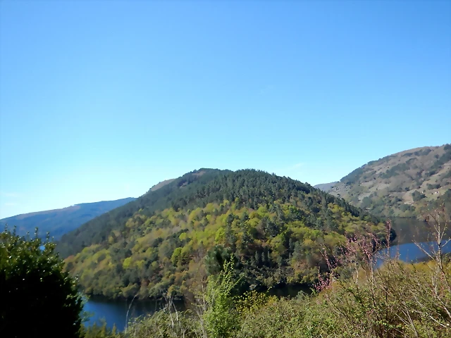 DSCN5193 DSCN5193