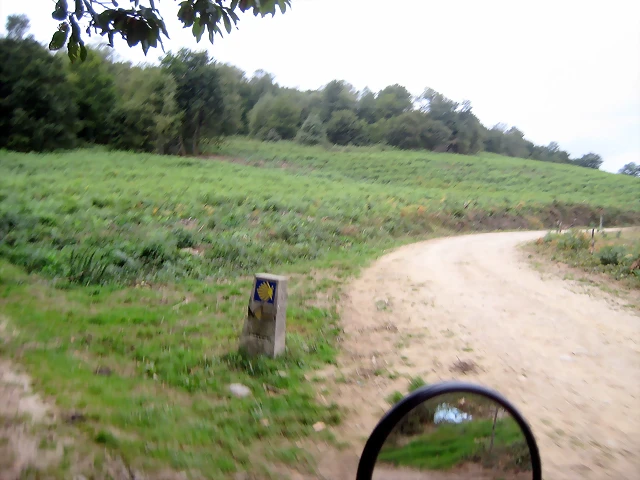 IMG_0523 IMG_0523