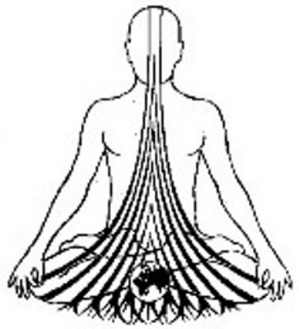 chakra1 chakra1