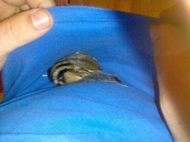 trank trank