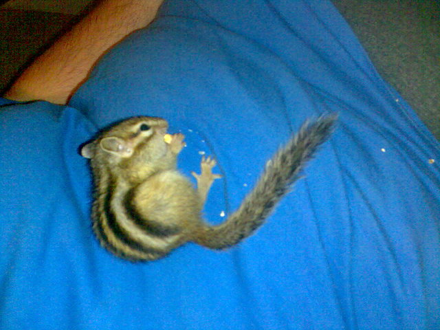 trank trank