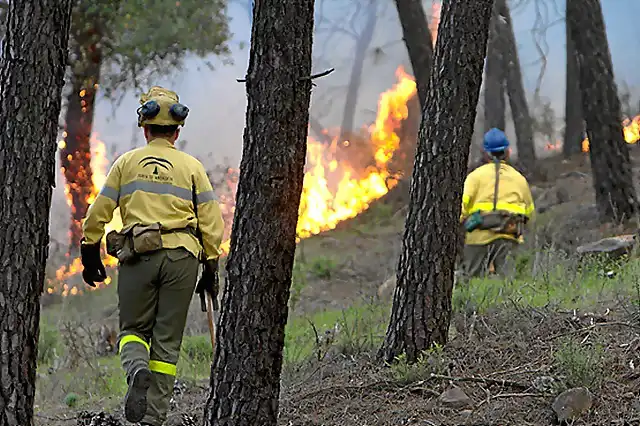 Incendio-Camping-Nerva-.jpg (3)