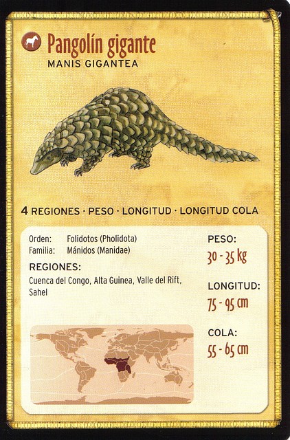 pangolin gigante