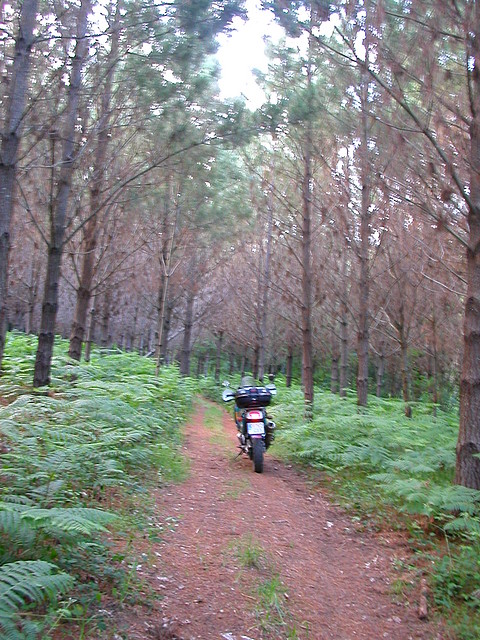 DSCN1205 DSCN1205