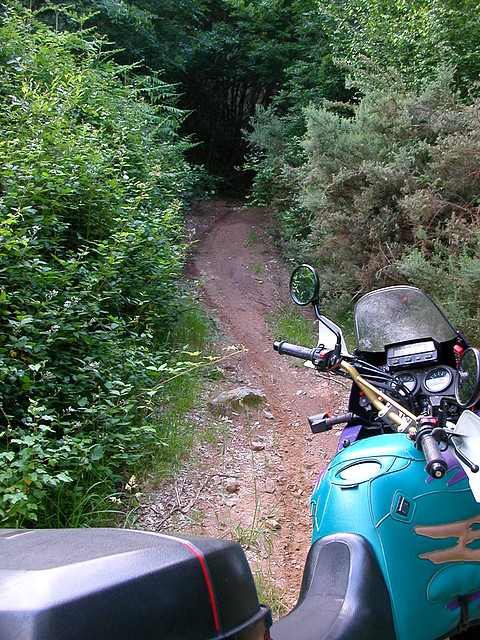 DSCN1204 DSCN1204