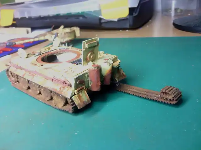 Tiger117