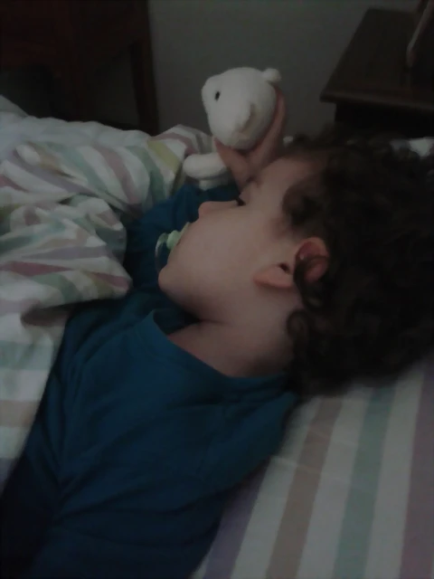 Bruno durmiendo Bruno durmiendo