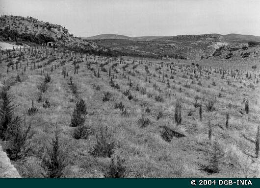 1954 55 trillo sanatorio leprol?gico 2 MONTE VENTORRO