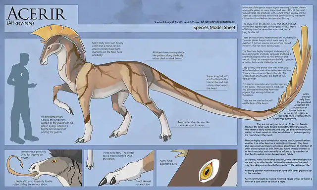 acerir___species_model_sheet_by_ulario-d6fqr2z