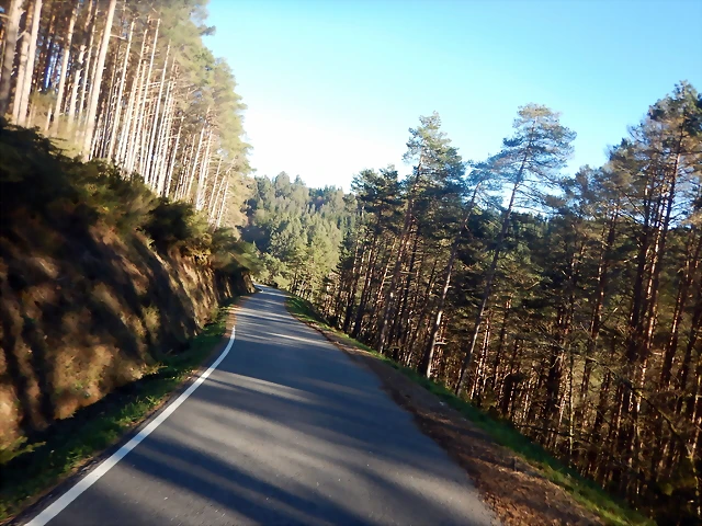 DSCN2604