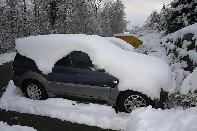 Rex im Schnee rechts