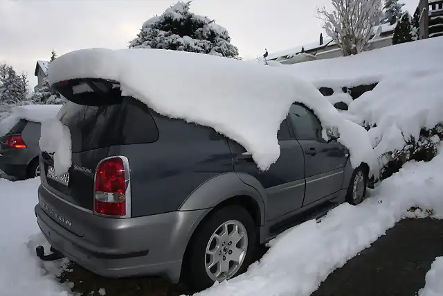 Rex im Schnee seitlich hinten