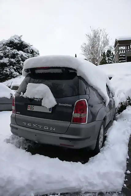 Rex im Schnee hinten