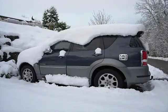 Rex im Schnee seite