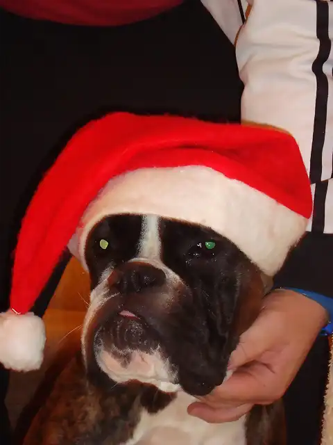 maya primeras navidades 010