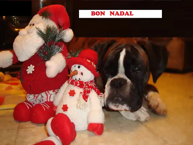 maya primeras navidades 017