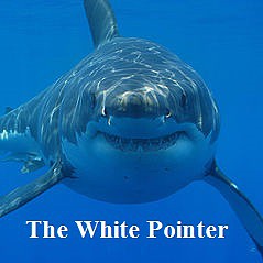 TheWhitePointer