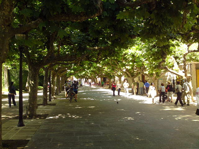 El Paseo en el centro de Burgos