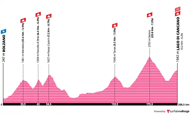 rumorgirostelvio(1)