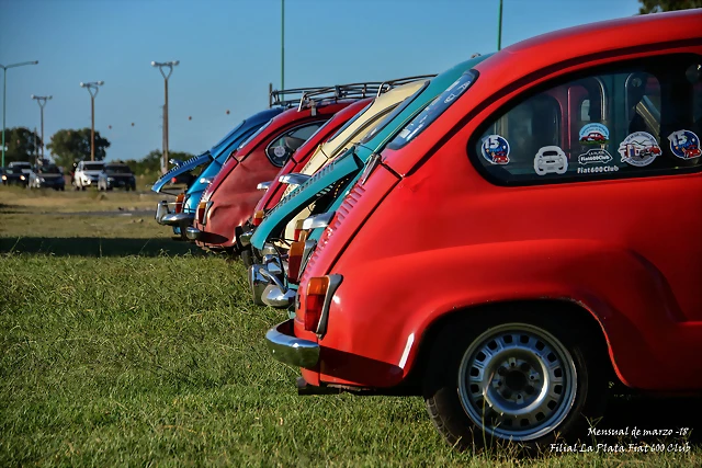 DSC_0243 DSC_0243