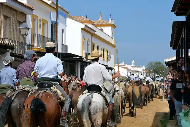 _DSC6282 Yeguada El Roco