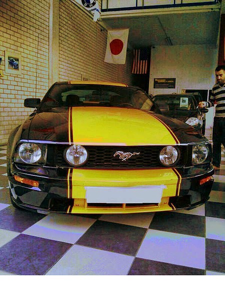 MUSTANG chiguy41 xtra 3