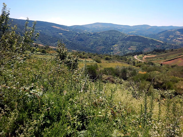 DSCN0030 DSCN0030