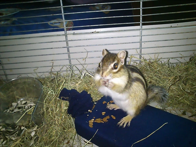 ardi REINA DIA 3 - 6- 2012 ardi REINA DIA 3 - 6- 2012