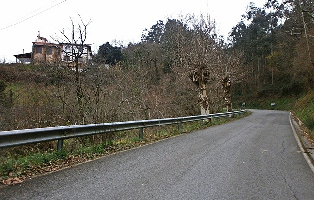 Montellano (6)