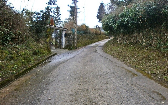 Montellano (11)