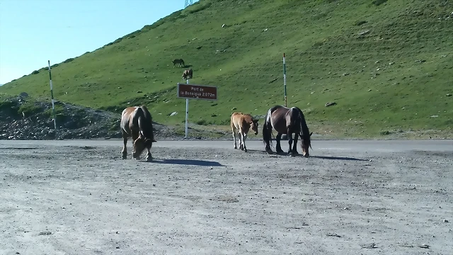 20170617_190018 20170617_190018