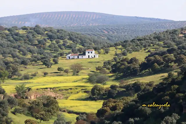 05, cortijo de roa, marca