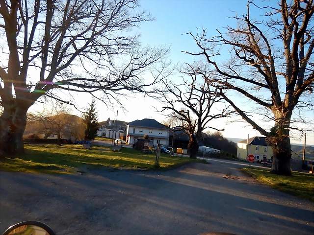 DSCN1994 DSCN1994