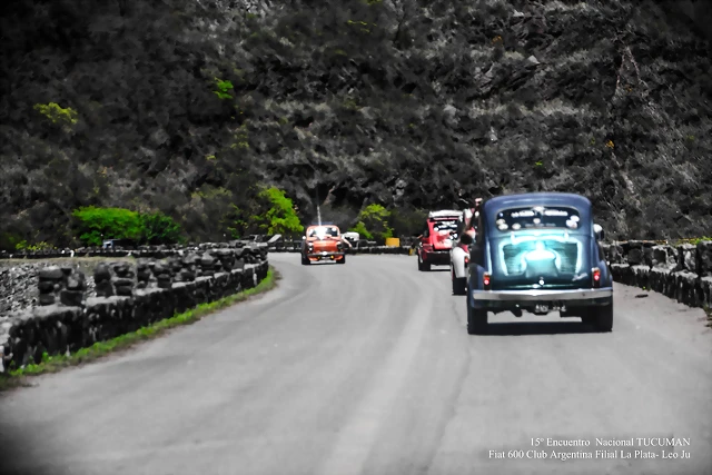 DSC_0716 DSC_0716