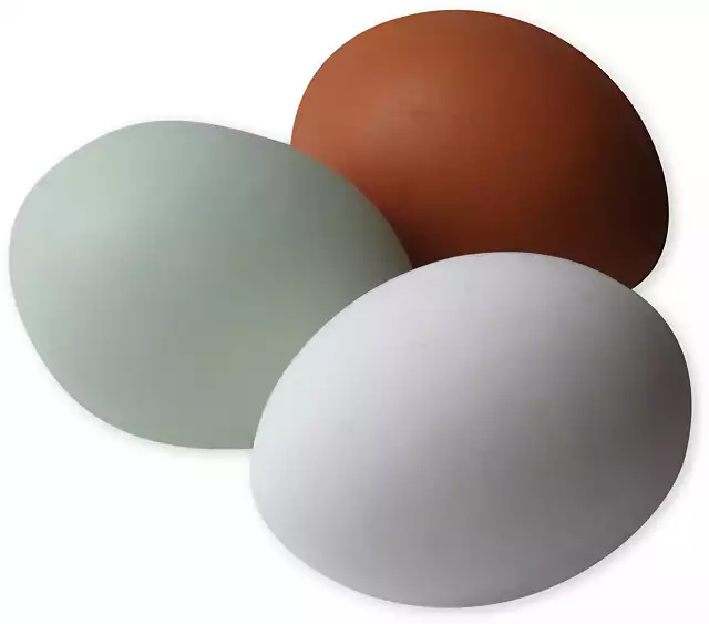 Eggs01