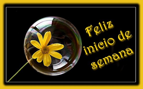 Feliz inicio de semana 333