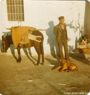 En el cortijo (2)