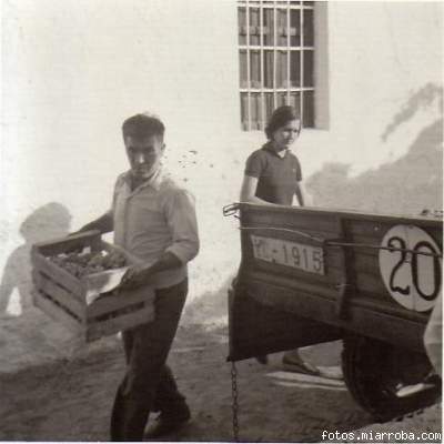 Cargando las cajas de uva en el remolque del tractor (2)